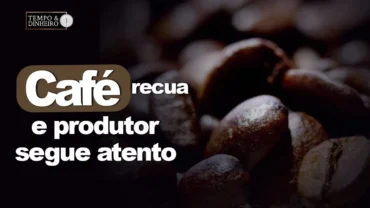 Café: produtores brasileiros carregam o “piano” e sofrem pressão de todos os lados