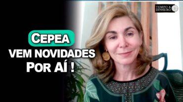 CEPEA para de informar o indicador de contratos futuros de boi gordo na B3. Novidades por aí