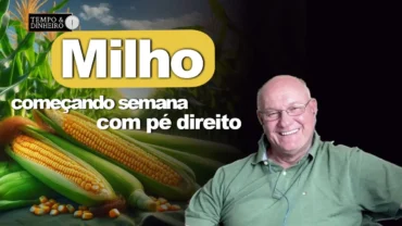 Milho começando semana com pé direito