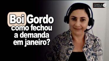 Boi gordo encerra janeiro com demanda de carne instável no mercado interno, informa Shirley Menezes
