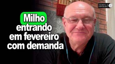 Milho entrando em fevereiro com demanda, informa Brandalizze