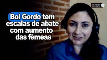 Boi gordo tem escalas de abate com aumento da participação das fêmeas, informa Shirley Menezes