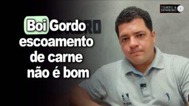 Boi gordo: escoamento de carne não é bom. Acompanhe a análise com Hyberville Neto