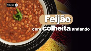 Feijão com colheita andando