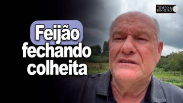 Feijão fechando colheita, avalia Brandalizze