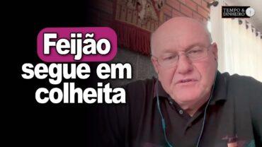 Feijão segue em colheita, informa Vlamir Brandalizze