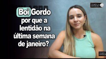 Boi gordo encerra última semana de janeiro com lentidão com indústria testando preços menores