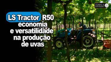 LS Tractor: conheça o R50 com economia e versatilidade na produção de uvas de qualidade