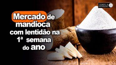 Mercado de mandioca mostra lentidão na primeira semana do ano com poucos negócios efetivos