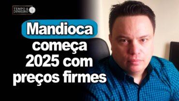 Mandioca começa 2025 com preços firmes, informa Fábio Isaías Felipe, do CEPEA