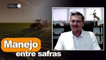 Safra 2025: manejo entre safras é extremamente importante e monitoramento é fundamental.