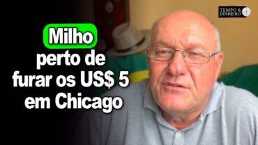 Milho perto de furar os US$ 5 em Chicago, Brandalizze comenta