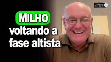 Milho voltando a fase altista, comenta Vlamir Brandalizze