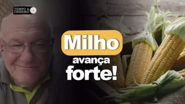 Milho avança forte, comenta Vlamir Brandalizze