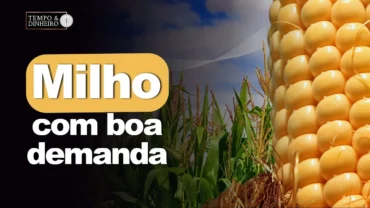 Milho com boa demanda e pouca oferta, comenta Vlamir Brandalizze
