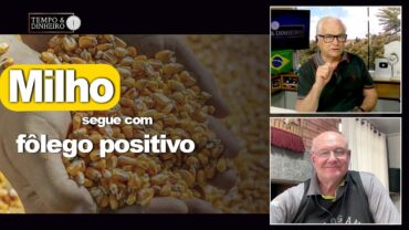 Milho segue com fôlego positivo