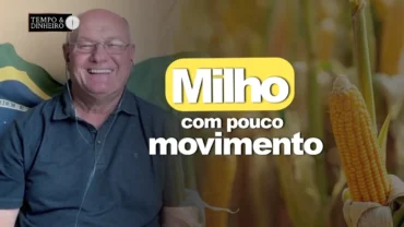 Milho com pouco movimento, afirma Vlamir Brandalizze