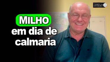Milho em dia de calmaria, Vlamir Brandalizze comenta