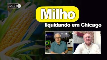 Milho com investidor liquidando em Chicago