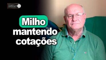 Milho mantendo cotações, Vlamir Brandalizze comenta