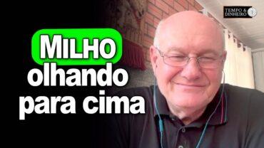 Milho olha para cima, comenta Vlamir Brandalizze