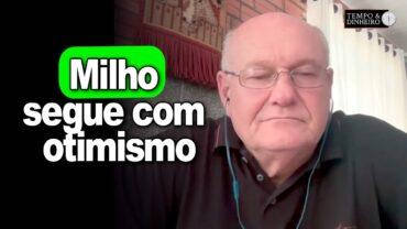Milho segue com otimismo, analisa Vlamir Brandalizze
