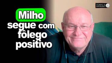 Milho segue com fôlego positivo, informa Vlamir Brandalizze