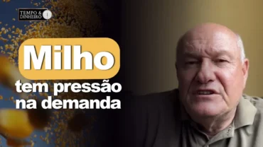 Milho mostra pressão de demanda, comenta Vlamir Brandalizze