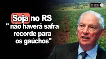Soja no RS: “não haverá safra recorde para os gaúchos”, afirma Irineu Orth, presidente da APROSOJA RS