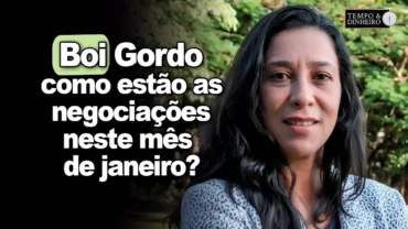 Boi gordo: como estão as negociações neste mês de janeiro e os preços? Andréa Adami comenta