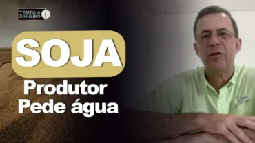 Soja: produtor gaúcho pede água e lei para enfrentar seca, alerta o consultor Albano Strieder