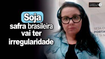 Soja: safra brasileira vai ter irregularidade na qualidade por causa do clima, alerta Carla Mendes