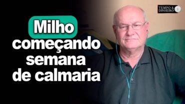 Milho começa semana de calmaria, analisa Vlamir Brandalizze