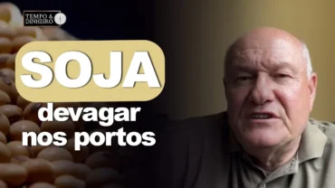 Soja vem perdendo fôlego nos portos, informa Vlamir Brandalizze