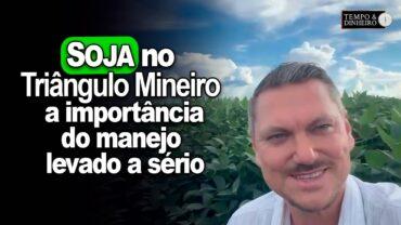 Soja no Triângulo Mineiro mostra importância do manejo levado a sério, mostra Alexandre Gazzola