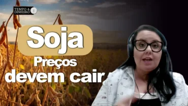 Soja: preços devem cair com avanço da safra no Brasil. Quanto? Carla Mendes comenta