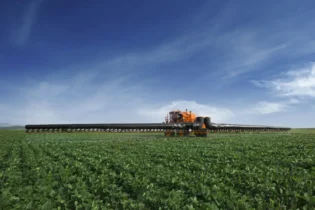 USDA mostra Soja em boas condições