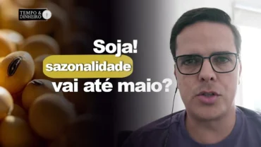 Soja: sazonalidade de alta vai até final de maio? Veja o que diz Maurício Belinello