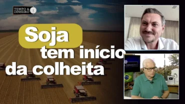 Soja tem início da colheita mas com produtividade diferenciada para cada região