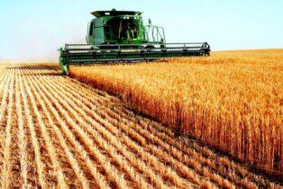 Soja técnica com fôlego altista, comenta Brandalizze