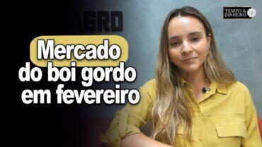 Mercado do boi gordo em fevereiro. Acompanhe Isabella Camargo