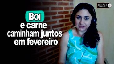 Boi e carne  caminham juntos em fevereiro, informa Shirley Menezes, do CEPEA