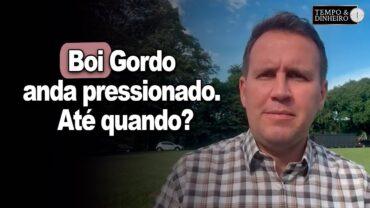 Boi gordo anda pressionado. Até quando? Thiago Bernardino, do CEPEA, comenta