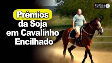 Prêmios da Soja em Cavalinho Encilhado, afirma Vlamir Brandalizze