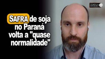 EXCLUSIVO: Safra de soja no PR volta a “quase normalidade” e deve chegar a 21,3 mi de t.