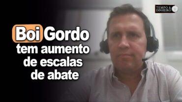 Boi gordo tem aumento de escalas de abate e pressão, informa Thiago Bernardino, do CEPEA