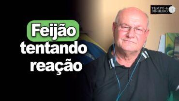 Feijão tentando reação, explica Vlamir Brandalizze