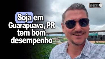 Soja em Guarapuava, PR, tem bom desempenho registra Alexandre Gazolla