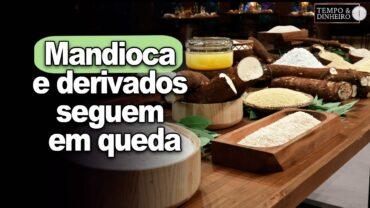 Mandioca e derivados seguem em queda, informa Fábio Isaías Felipe, do CEPEA