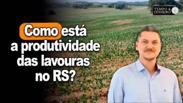 Como está a produtividade das lavouras do Rio Grande do Sul? Alexandre Gazzola comenta